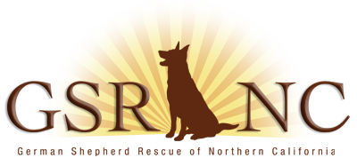 German Shepherd Rescue of Northern California (GSRNC)