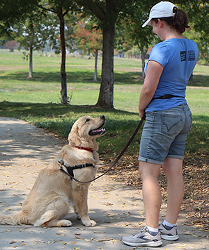 Puppy Training - Dog Training - Call Karla Gran at 408-772-3536